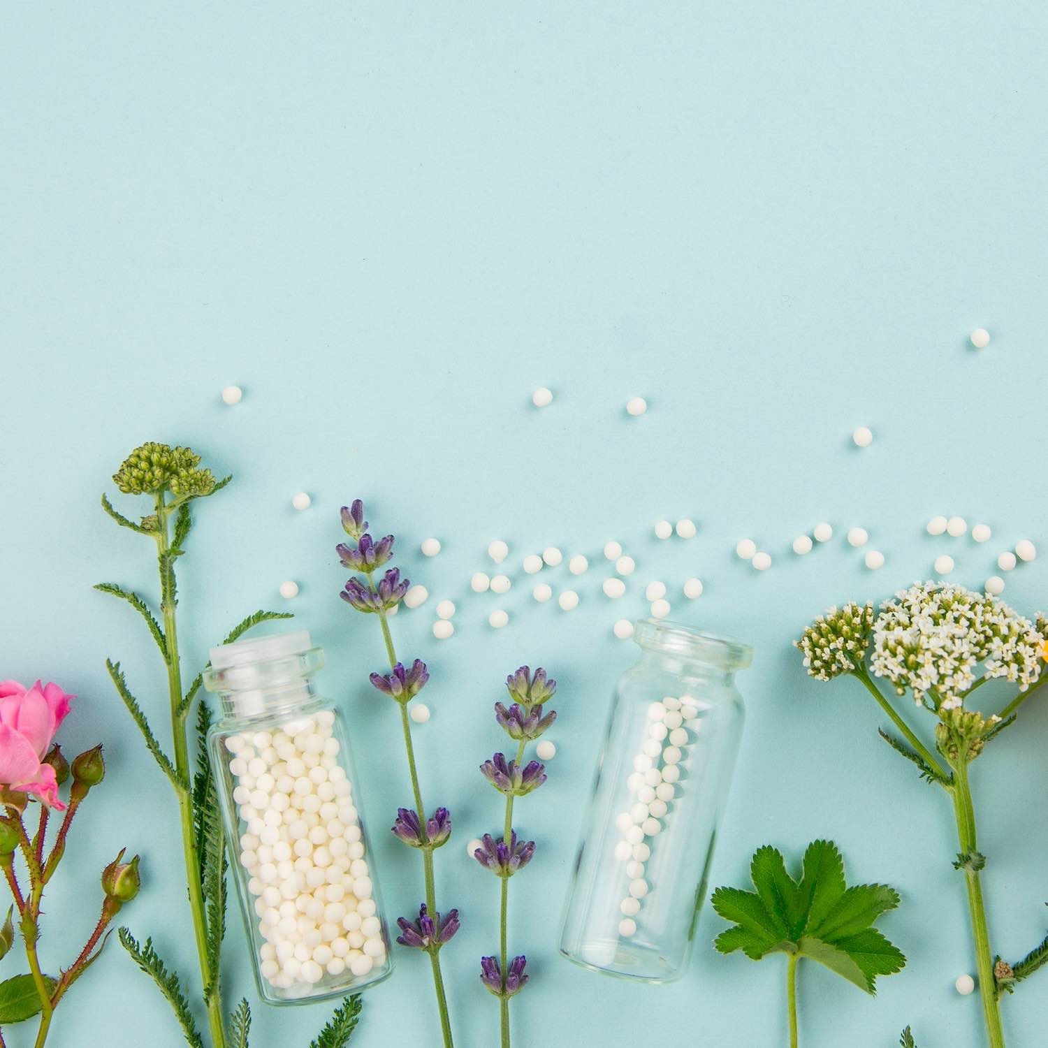 Homéopathie, Pharmacie des Alizés, Louverné homeopathie-pharmacie-des-alizes-louverne